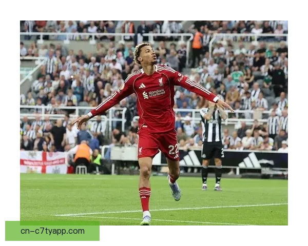 维尔茨回暖无拐点埃基蒂克关键